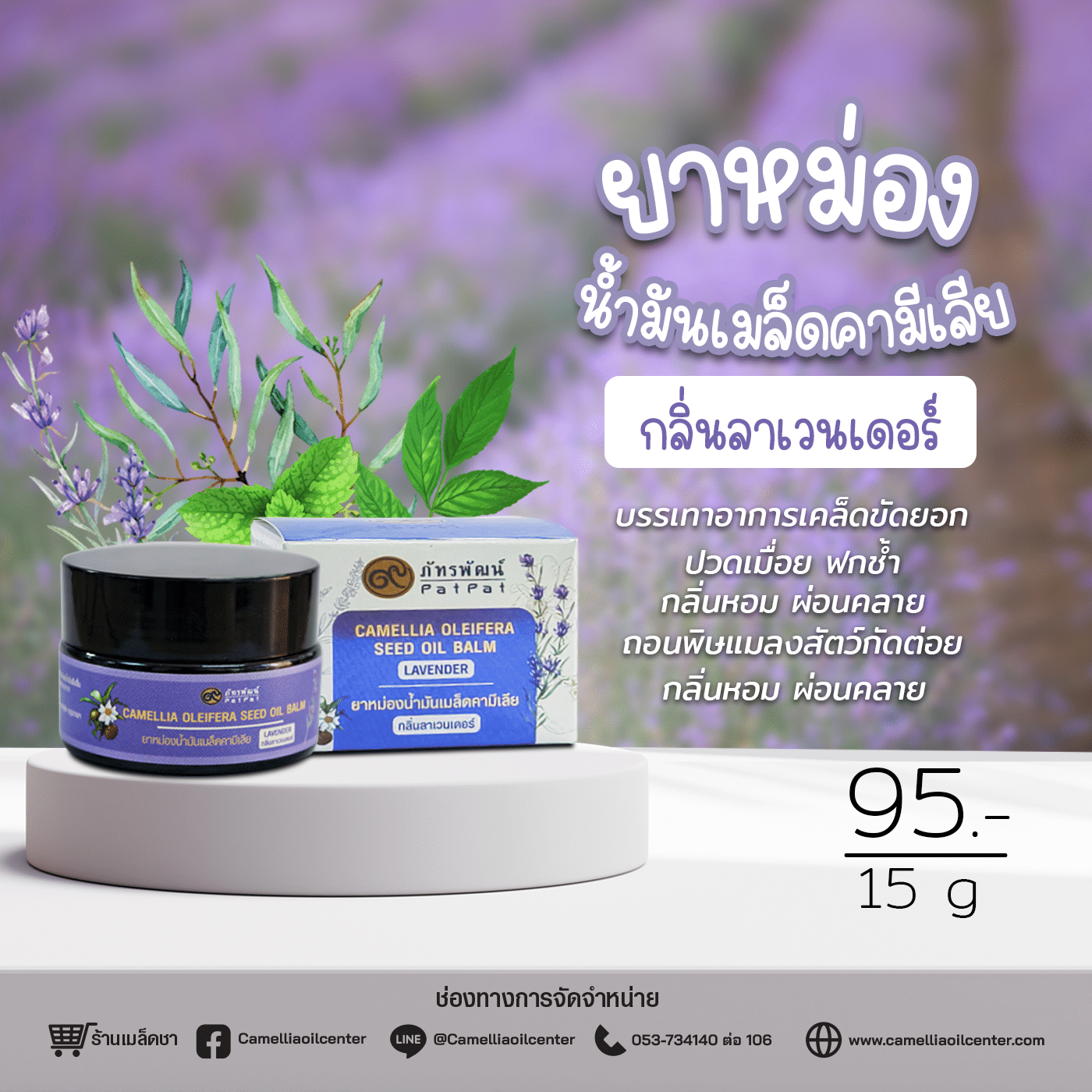 ยาหม่องน้ำมันเมล็ดคามีเลีย กลิ่นลาเวนเดอร์ 15 g